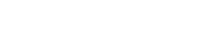 logo_flash